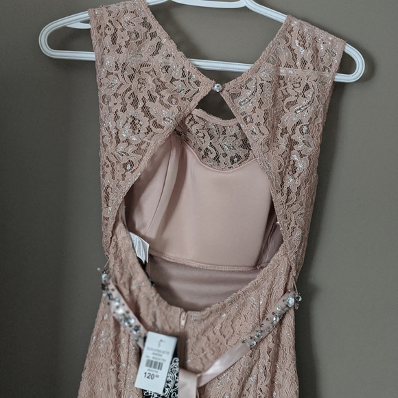 NWT Pink Lace Mermaid Dress/Gown - Picture 4 of 7
